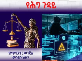 የኮምፒዩተር ወንጀል ምንድን ነው?