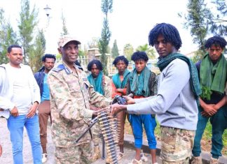 በጫካ ሲንቀሳቀሱ የነበሩ ታጣቂዎች የሰላም አማራጭን ተቀበሉ።