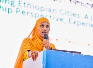 ከተሞችን የእድገት እና የብልጽግና ማዕከል ለማድረግ ትኩረት ተሠጥቷል።