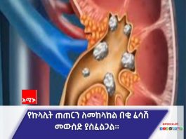 የኩላሊት ጠጠር ሕመምን እንዴት መከላከል ይቻላል ?