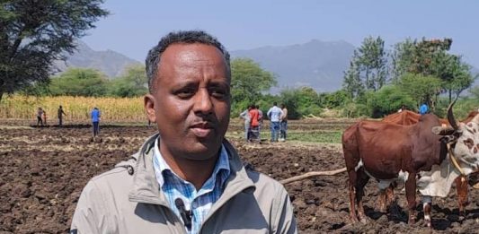 26 ሺህ ሄክታር መሬት በበጋ ስንዴ ልማት እንደሚለማ የሰሜን ወሎ ዞን አስታወቀ።