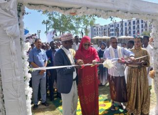 መሶብ የአንድ አገልግሎት ማዕከል ዜጎች ክብራቸው ተጠብቆ እና ሳይንገላቱ ተጠቃሚ እንዲኾኑ የሚያስችል ነው።