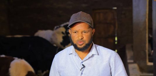 ከውጭ የሚገቡ የተቀነባበሩ የወተት ውጤቶችን ለማሰቀረት እየተሠራ ነው።