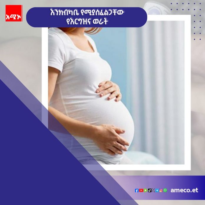 584750597_1270145778476677_4707619945738115747_n