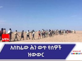 በክልሉ የውጭ ሀገር የሥራ ስምሪት ላይ የተሠማሩ የግል ሥራ እና ሠራተኛ አገናኝ ኤጀንሲዎች አሉ።