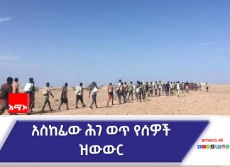 በክልሉ የውጭ ሀገር የሥራ ስምሪት ላይ የተሠማሩ የግል ሥራ እና ሠራተኛ አገናኝ ኤጀንሲዎች አሉ።