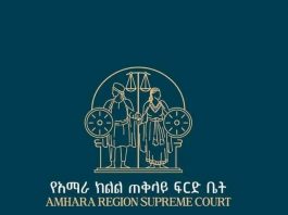 ዶክተር አንዷለም ዳኜ ላይ የመግደል ወንጀል የፈጸመው ግለሰብ በ25 ዓመት ጽኑ እስራት እንዲቀጣ ተወሰነበት።