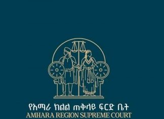 ዶክተር አንዷለም ዳኜ ላይ የመግደል ወንጀል የፈጸመው ግለሰብ በ25 ዓመት ጽኑ እስራት እንዲቀጣ ተወሰነበት።