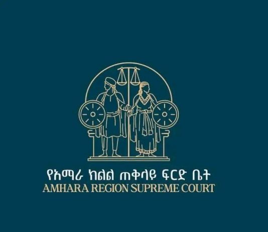 ዶክተር አንዷለም ዳኜ ላይ የመግደል ወንጀል የፈጸመው ግለሰብ በ25 ዓመት ጽኑ እስራት እንዲቀጣ ተወሰነበት።