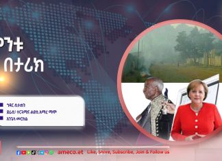 “ስፓኒሽ ፍሉ”