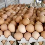 588577026_1277365907754664_674524375870598483_n