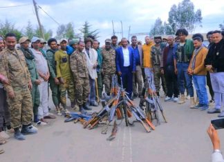 በማዕከላዊ ጎንደር ዞን በተሳሳተ መንገድ ትጥቅ ይዘው ጫካ ገብተው የነበሩ ታጣቂዎች የመንግሥትን የሰላም ጥሪ ተቀበሉ።