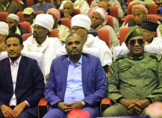 “ጽንፈኞች በደረሰባቸው ምት በዋሉበት ማደር ወደማይችሉበት ደረጃ ደርሰዋል” ሌትናል ጄኔራል መሐመድ ተሰማ