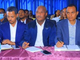 የተሻሻለው የገቢ ግብር አዋጅ የግብር ከፋዮችን ገቢ ያማከለ ሥርዓት እንዲኖር ትልቅ ሚና ያለው ነው።