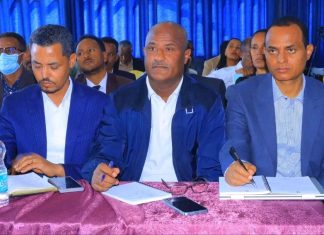 የተሻሻለው የገቢ ግብር አዋጅ የግብር ከፋዮችን ገቢ ያማከለ ሥርዓት እንዲኖር ትልቅ ሚና ያለው ነው።