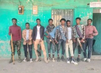 በጎንደር ዙሪያ ወረዳ ሲንቀሳቀሱ የቆዩ ታጣቂዎች የሰላም ጥሪውን ተቀበሉ።