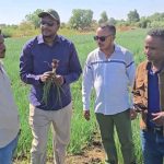 በሁመራ ከተማ በሌማት ቱሩፋት ሥራዎች የተሠማሩ ወጣቶች ውጤታማ መኾናቸውን ተናገሩ። 1766266742135