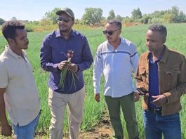 በሁመራ ከተማ በሌማት ቱሩፋት ሥራዎች የተሠማሩ ወጣቶች ውጤታማ መኾናቸውን ተናገሩ።