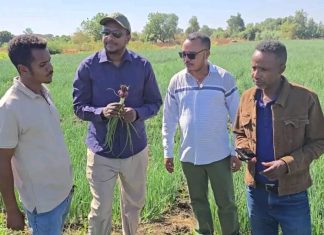 በሁመራ ከተማ በሌማት ቱሩፋት ሥራዎች የተሠማሩ ወጣቶች ውጤታማ መኾናቸውን ተናገሩ።