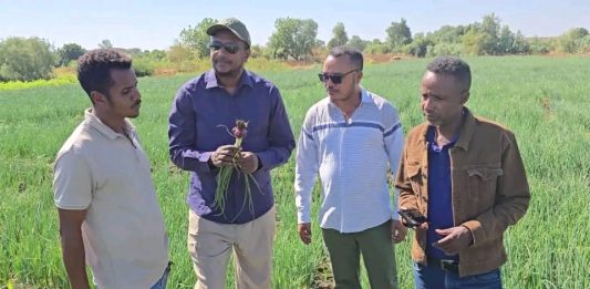 በሁመራ ከተማ በሌማት ቱሩፋት ሥራዎች የተሠማሩ ወጣቶች ውጤታማ መኾናቸውን ተናገሩ።