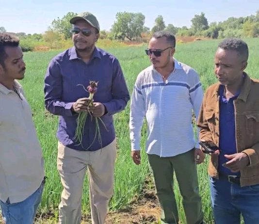 በሁመራ ከተማ በሌማት ቱሩፋት ሥራዎች የተሠማሩ ወጣቶች ውጤታማ መኾናቸውን ተናገሩ።