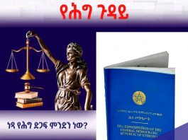 ነጻ የሕግ ድጋፍ ምንድን ነው?