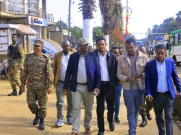 ከፍተኛ የሥራ ኀላፊዎች በዱር ቤቴ ከተማ የልማት ሥራዎችን ጎበኙ።