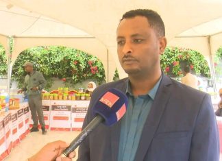 “በባሕላዊ መንገድ ከቀፎ 10 ኪ.ግ የማይበልጥ የነበረው የማር ምርት አሁን 50 ኪ.ግ ድረስ ማምረት ችለናል” አናቢዎች