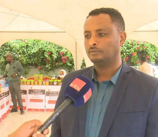 “በባሕላዊ መንገድ ከቀፎ 10 ኪ.ግ የማይበልጥ የነበረው የማር ምርት አሁን 50 ኪ.ግ ድረስ ማምረት ችለናል” አናቢዎች