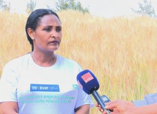 የአካል ጉዳተኞችን ኢኮኖሚያዊ ተጠቃሚነት ለማረጋገጥ እየሠራ ነው።