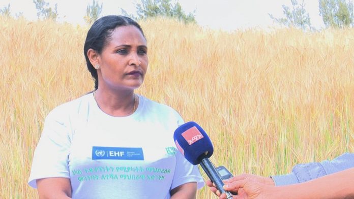 593278229_1284450500379538_2056352775893775390_n