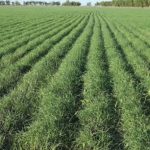 593659239_1284267307064524_1438298734998231800_n