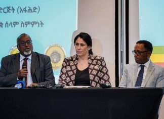 “እያንዳንዱ የሰላም ስምምነት የጥይት ድምፅ የማይሰማባት አሕጉር የመገንባት ግባችን ላይ ለመድረስ ያግዘናል” ምክትል ሊቀመንበር ሰልማ ማሊካ አዳዲ