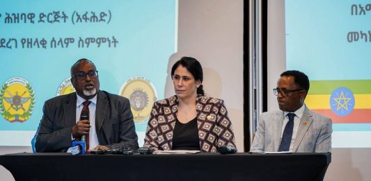 “እያንዳንዱ የሰላም ስምምነት የጥይት ድምፅ የማይሰማባት አሕጉር የመገንባት ግባችን ላይ ለመድረስ ያግዘናል” ምክትል ሊቀመንበር ሰልማ ማሊካ አዳዲ