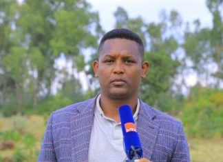 በተለያዩ አካባቢዎች የታጠቁ አካላት መንግሥት ያቀረበውን የሰላም አማራጭ ተቀብለው ወደ ሰላማዊ ኑሮ እየተመለሱ ነው።