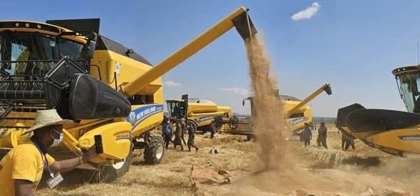 596149719_1289089393248982_5766442484022087109_n