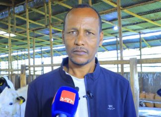 በኮምቦልቻ ከተማ በሌማት ትሩፋት መርሐ ግብር ውጤታማ ሥራዎች እየተከናወኑ ነው።