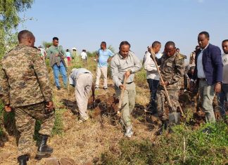 በምዕራብ ጎንደር ዞን የተፈጥሮ ሃብት ሥራ ተጀመረ።