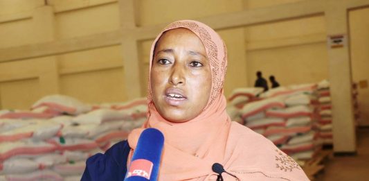 አምራች ኢንዱስትሪዎቹ በጥሩ የሥራ እንቅስቃሴ ውስጥ ናቸው።