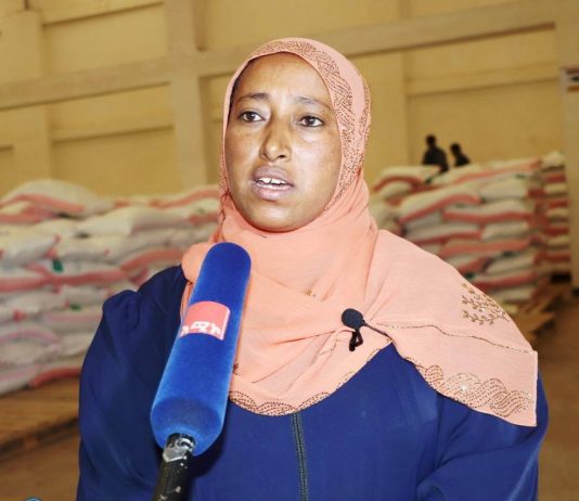 አምራች ኢንዱስትሪዎቹ በጥሩ የሥራ እንቅስቃሴ ውስጥ ናቸው።