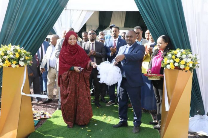 600204726_1292129422944979_5651278844782763166_n