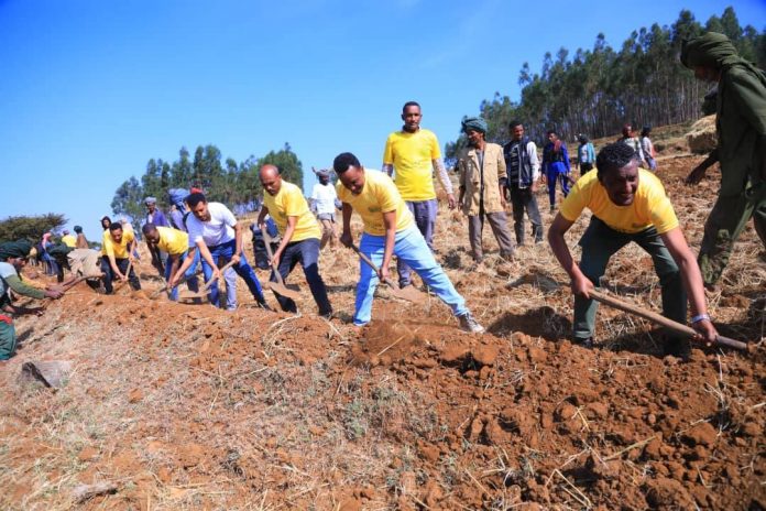 603084447_1294577762700145_399928095030388030_n