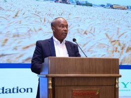 የኢትዮጵያን የበጋ ስንዴ ውጤታማነት የሚያሳይ ዘጋቢ ፊልም ተመረቀ።