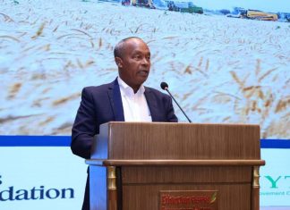 የኢትዮጵያን የበጋ ስንዴ ውጤታማነት የሚያሳይ ዘጋቢ ፊልም ተመረቀ።