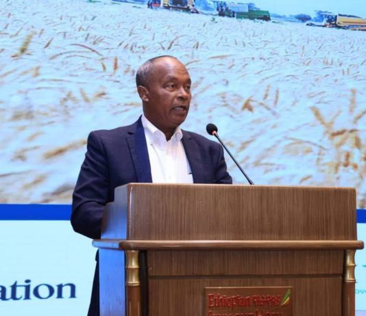 የኢትዮጵያን የበጋ ስንዴ ውጤታማነት የሚያሳይ ዘጋቢ ፊልም ተመረቀ።