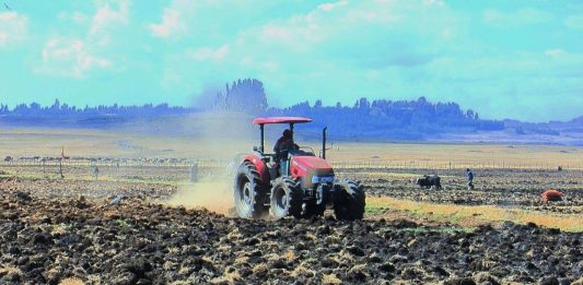 በግብርናው ዘርፍ ቴክኖሎጂን የመጠቀም ልምዱ እያደገ መጥቷል።