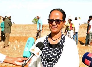 በባሕር ዳር ከተማ አሥተዳደር ዘንዘልማ ቀበሌ የተፈጥሮ ሀብት ጥበቃ ሥራ በይፋ ተጀምሯል።