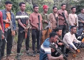 በጃቢ ጠህናን ወረዳ በጫካ ሲንቀሳቀሱ የነበሩ ታጣቂዎች የሰላም አማራጭን ተቀበሉ።