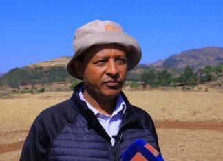 በጎንደር ከተማ አሥተዳደር ከ800 ሄክታር በላይ መሬት የተፈጥሮ ሃብት ጥበቃ ሥራ ይሠራል።