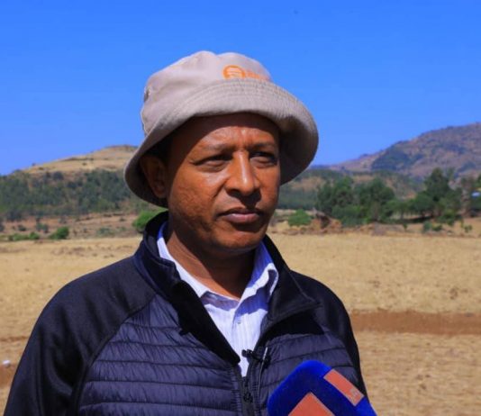 በጎንደር ከተማ አሥተዳደር ከ800 ሄክታር በላይ መሬት የተፈጥሮ ሃብት ጥበቃ ሥራ ይሠራል።